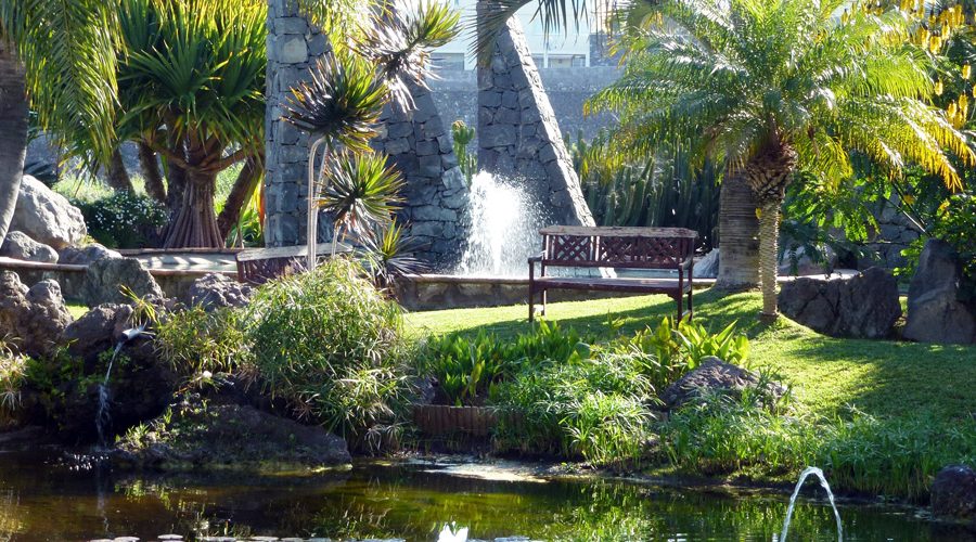 KanarenExpress: Un oasis para todos los sentidos con Tenerife Verde