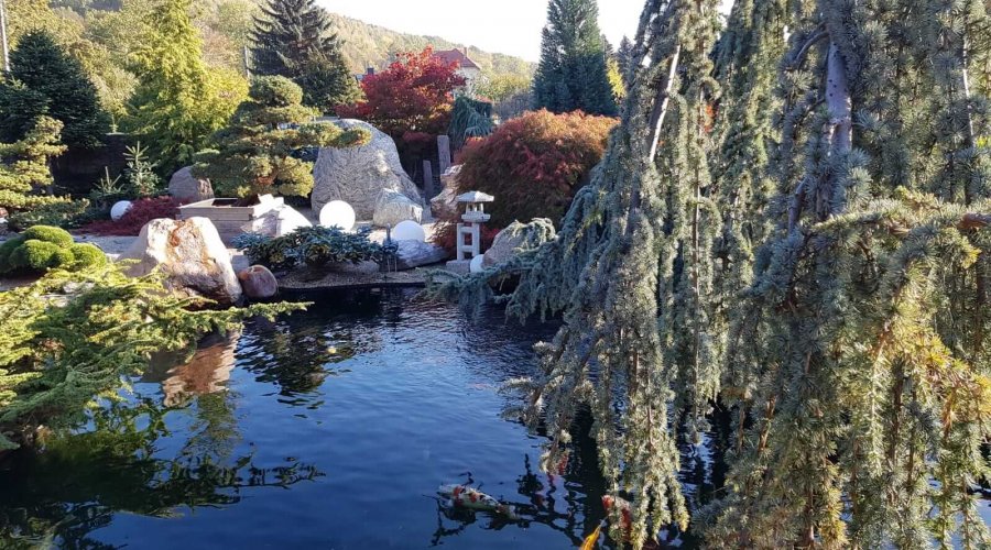 Der Traum vom Gartenteich auf Teneriffa