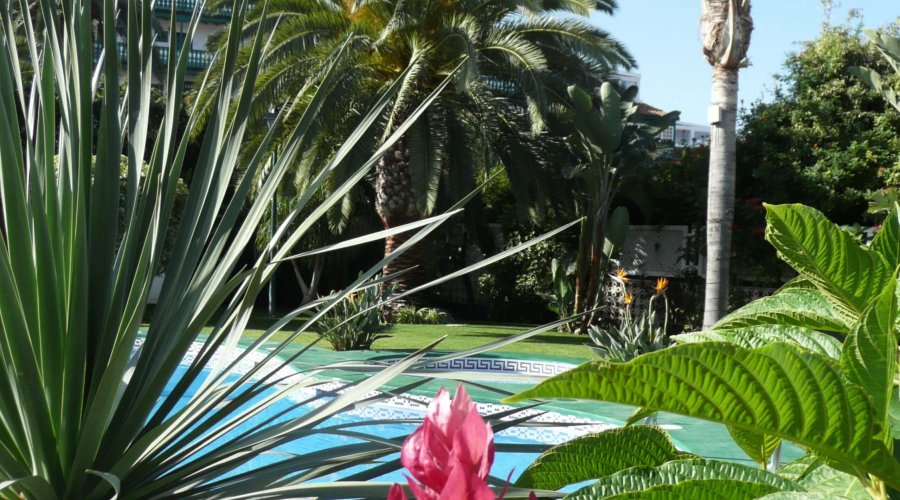 Palmengarten-Paradies auf Teneriffa