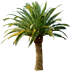 Palmengarten-Paradies auf Teneriffa