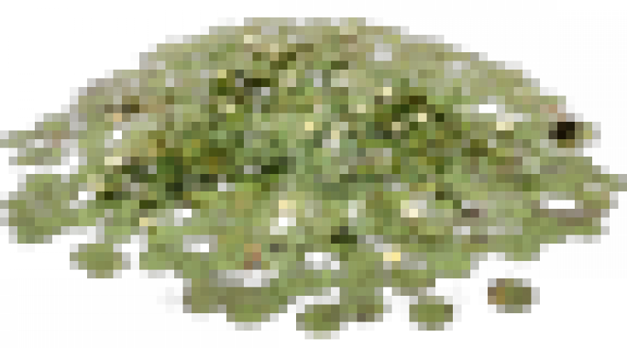 Der Traum vom Gartenteich auf Teneriffa