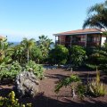 Tenerife Verde pflegt Ihren Garten auf Teneriffa