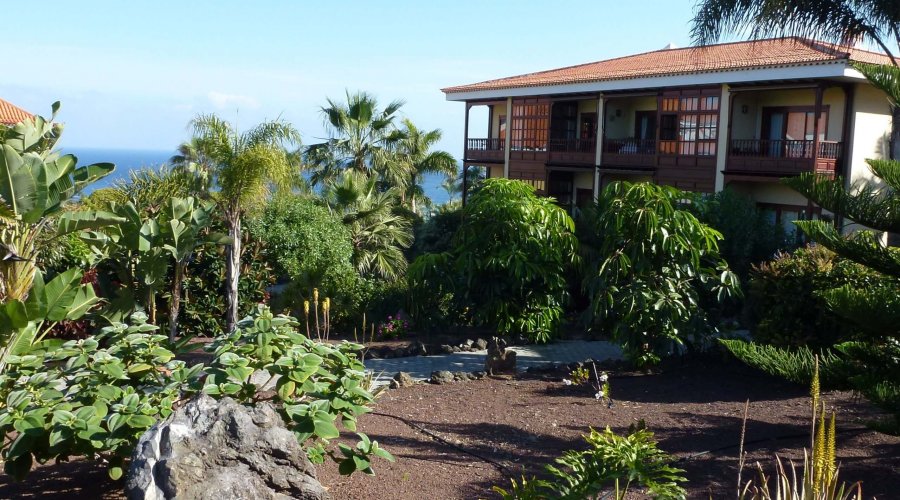 Tenerife Verde pflegt Ihren Garten auf Teneriffa